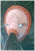 Photo showing horse shoe barrette in the hair